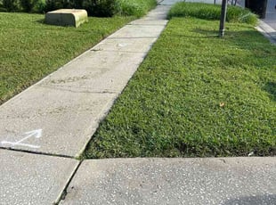 Shannon S.'s lawn service service result