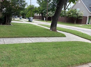 Miah W.'s lawn service service result