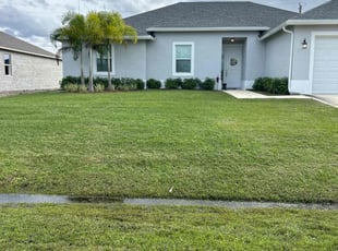 Raizon P.'s lawn care service result