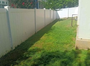 Michael F.'s lawn care services service result