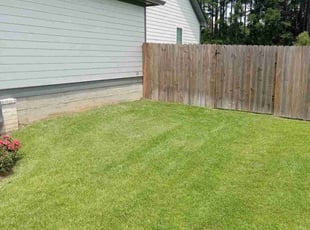 Kelly M.'s turf care service result