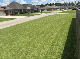 Toi Y.'s turf care service result