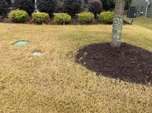 Brandis G.'s turf maintenance service result