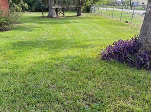 Casey R.'s lawn maintenance service result