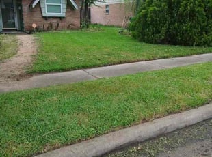 Barlan E.'s grass maintenance service result