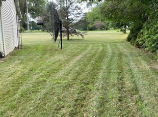 Linus R.'s lawn maintenance service result