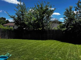 Jonica D.'s lawn maintenance service result