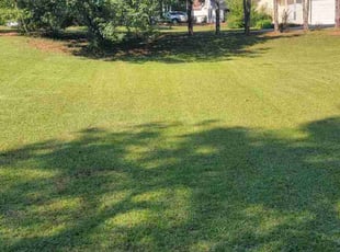 Tiffany K.'s lawn care service result