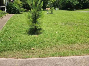 Karen W.'s lawn maintenance service result