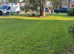 Kathy B.'s turf care service result
