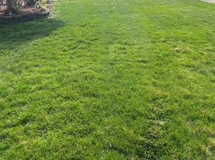 Ronald J.'s lawn care service result