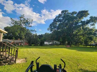 Debbie B.'s turf maintenance service result