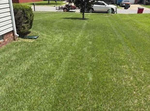 Pamela J.'s turf maintenance service result