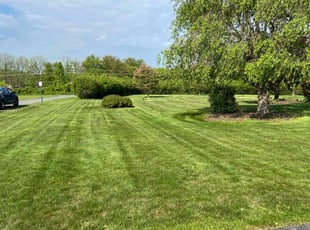 Sonia S.'s lawn care services service result