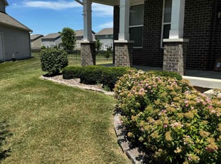 Courtney C.'s Bush Trimming service result