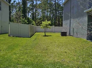 Dan N.'s lawn service service result