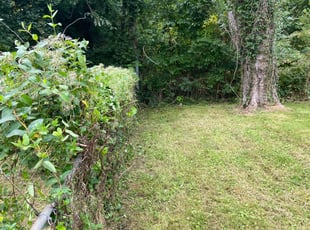 Jeremy D.'s Bush Trimming service result