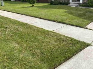 Eddie R.'s lawn care services service result