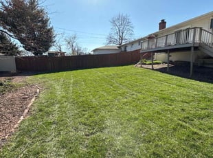Terence F.'s lawn care service result