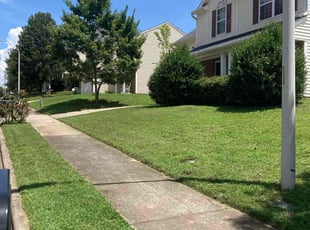 Porshia C.'s turf maintenance service result