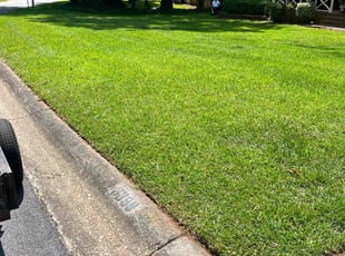 Crystal E.'s grass maintenance service result