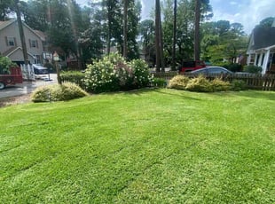 Paul M.'s lawn care service result