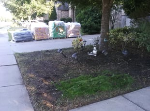 Max M.'s Leaf Removal service result