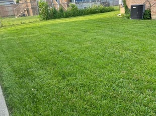 Sandra G.'s Cleanups service result