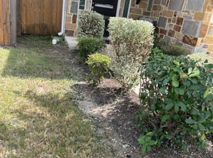 Alberto R.'s Bush Trimming service result