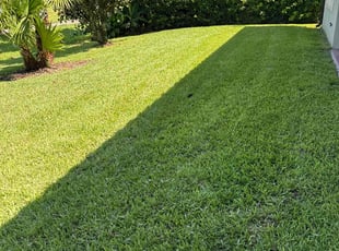 Kevin J.'s lawn care services service result