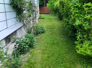 Kim A.'s lawn care service result