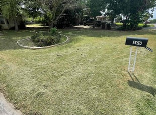 Marion G.'s grass maintenance service result