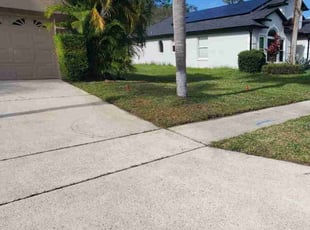 Robert G.'s lawn care service result