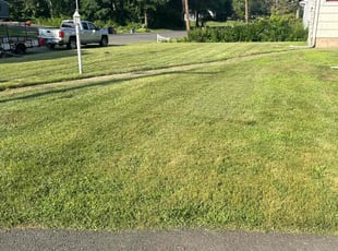 David S.'s lawn care services service result