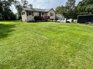 Steve H.'s yard maintenance service result