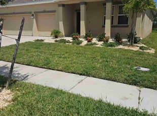 Annmarie C.'s turf maintenance service result