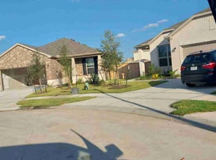 Tammy R.'s turf care service result