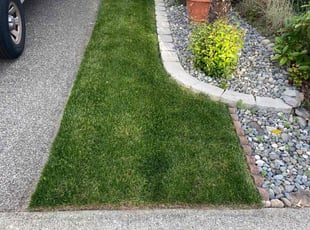 Erica K.'s lawn service service result