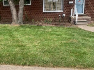 Masrur P.'s lawn maintenance service result