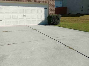 Ron O.'s Bush Trimming service result