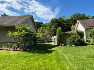 Edward A.'s lawn care services service result