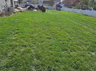 shertisa M.'s lawn care services service result