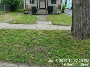 Joey F.'s grass cutting service result