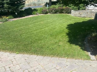 Paakwesi A.'s lawn care services service result