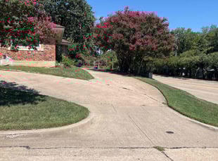 Marisa M.'s lawn care services service result