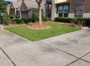 Sonia Y.'s lawn care services service result