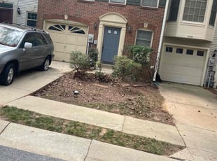 Celena R.'s grass maintenance service result