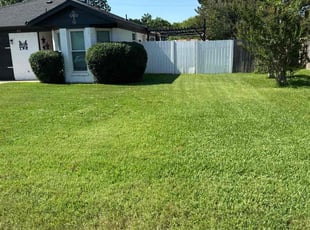 GlInda A.'s turf care service result