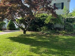 Martha K.'s Long Grass Cleanup service result