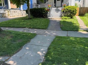 Alicia T.'s lawn service service result